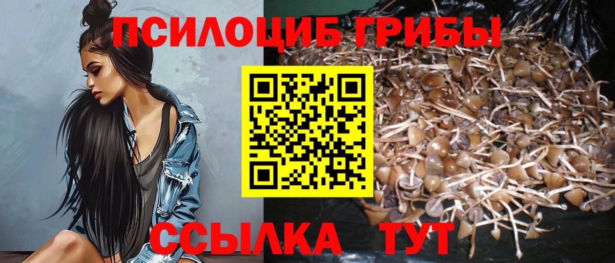 Галлюциногенные грибы Psilocybe  Галлюциногенные грибы GOLDEN TEACHER  Вход с VPN  Сегежа 